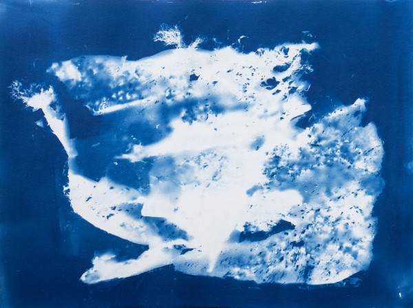 Marine Debris Study 2 by Oriana Poindexter