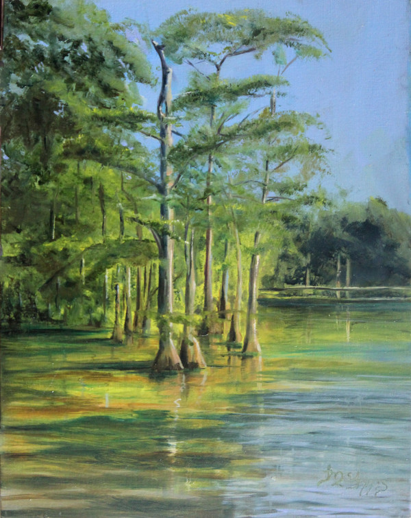 Spring at Morrison Springs by Theresia McInnis