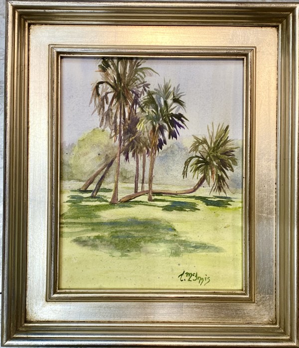 Palm discussion