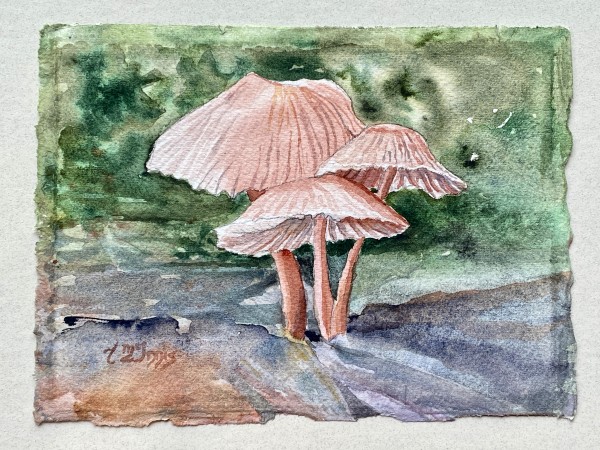 Magic Mushrooms by Theresia McInnis
