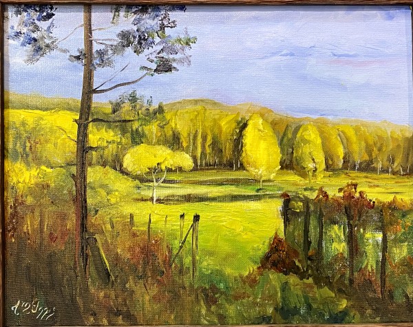 Suches Meadows