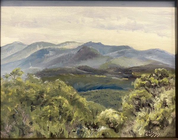 Smoking Mountains