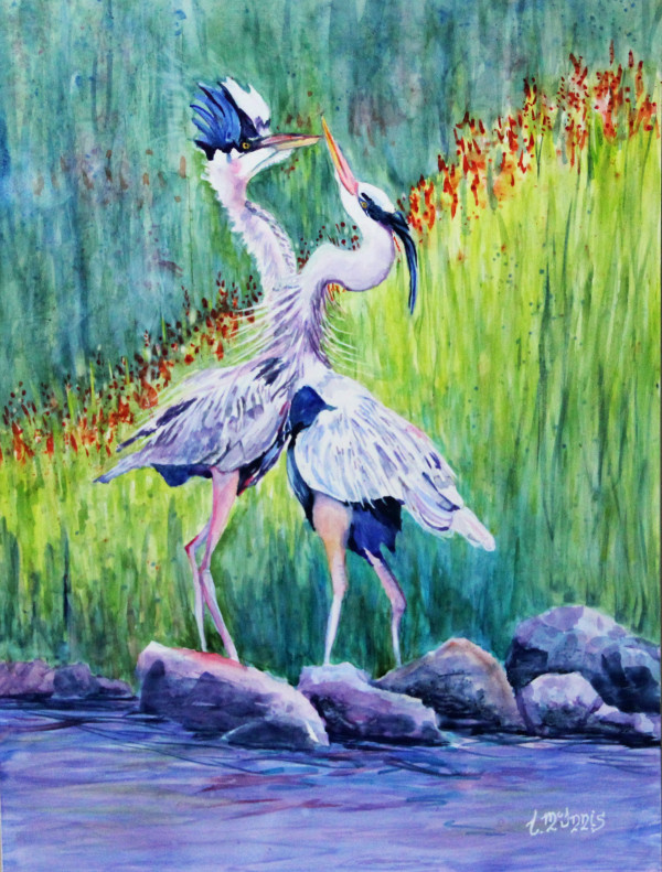 Blue Heron Courtship