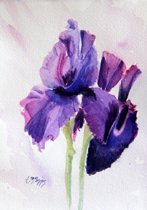 Iris One by Theresia McInnis