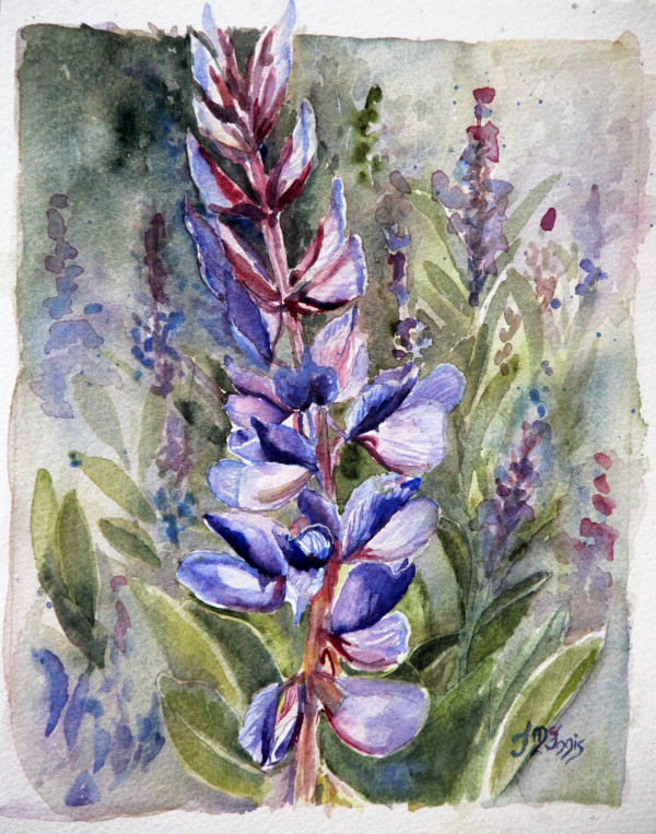 Lupine Fusion by Theresia McInnis