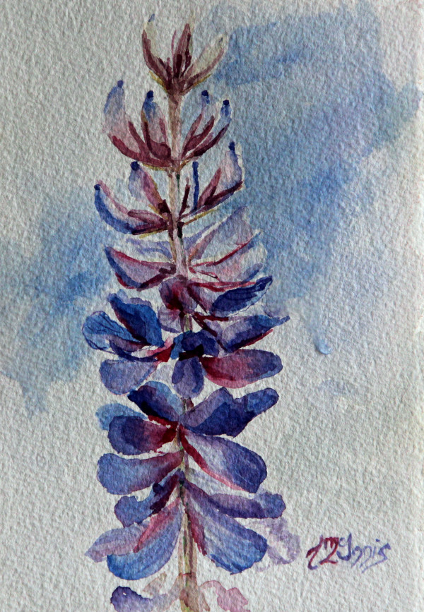 Lupine Lone Spire by Theresia McInnis