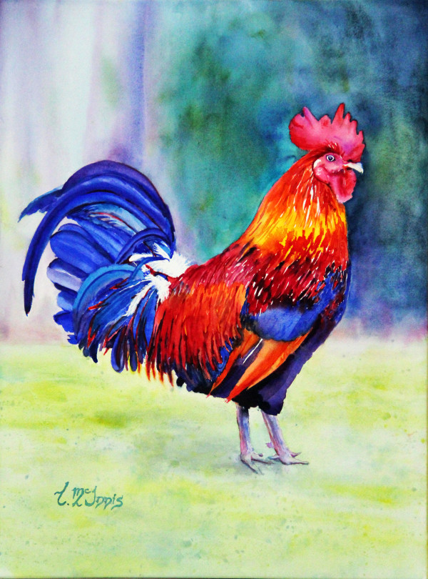 Rooster mulit color