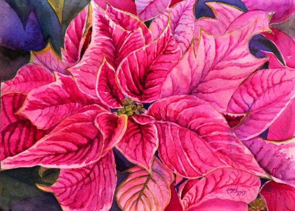 Pink Poinsettia by Theresia McInnis