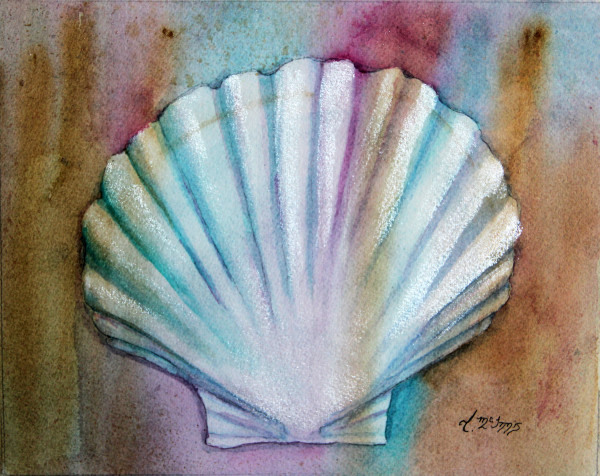 Scallop Shell in Pastel