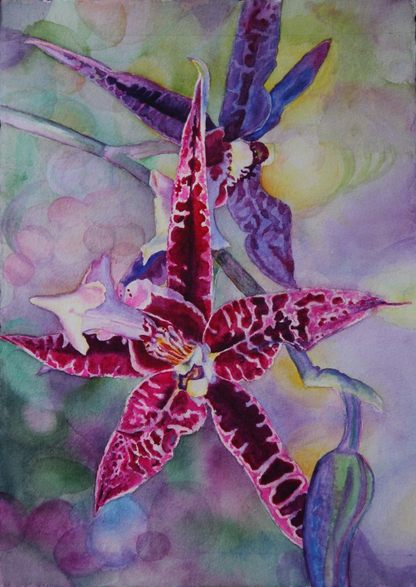 Spider Spider by Theresia McInnis