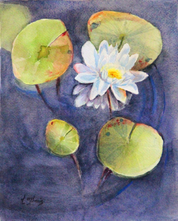 Stinky's Lilly Pads by Theresia McInnis