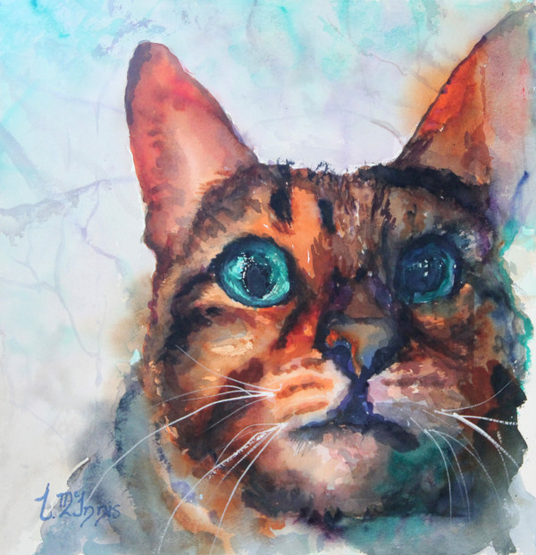 Bob Cat