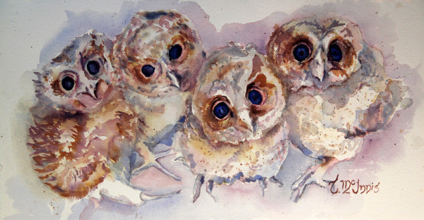 Owlette Quartette print (2) by Theresia McInnis