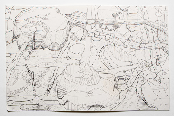 Fern by Eric Reinemann