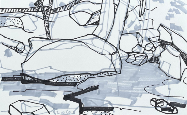 Rock Along the Cascades by Eric Reinemann