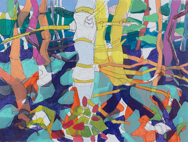 Shadowed Forest by Eric Reinemann