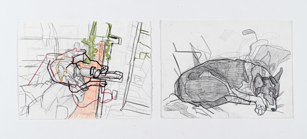 Portraits of Harvey, diptych by Eric Reinemann