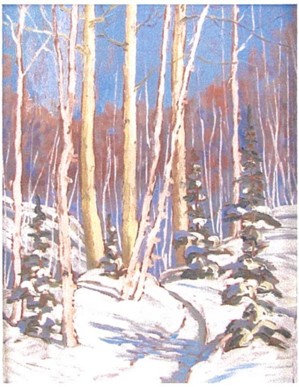 Sunlit Birches by Muriel Newton-White