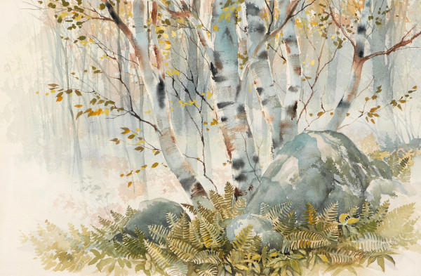 Untitled (Birches) by Gord MacKenzie