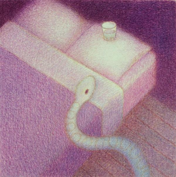 Snake and Waterglass (Bed) by Doug Donley
