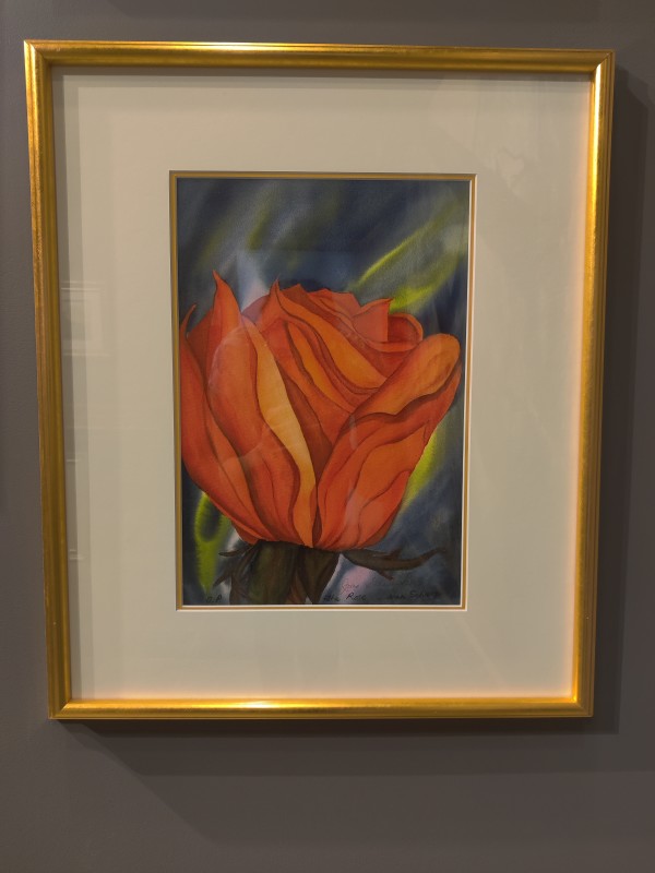 The Rose by Joan Schwegler