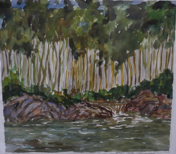 Bennet Creek by Lionel Venne