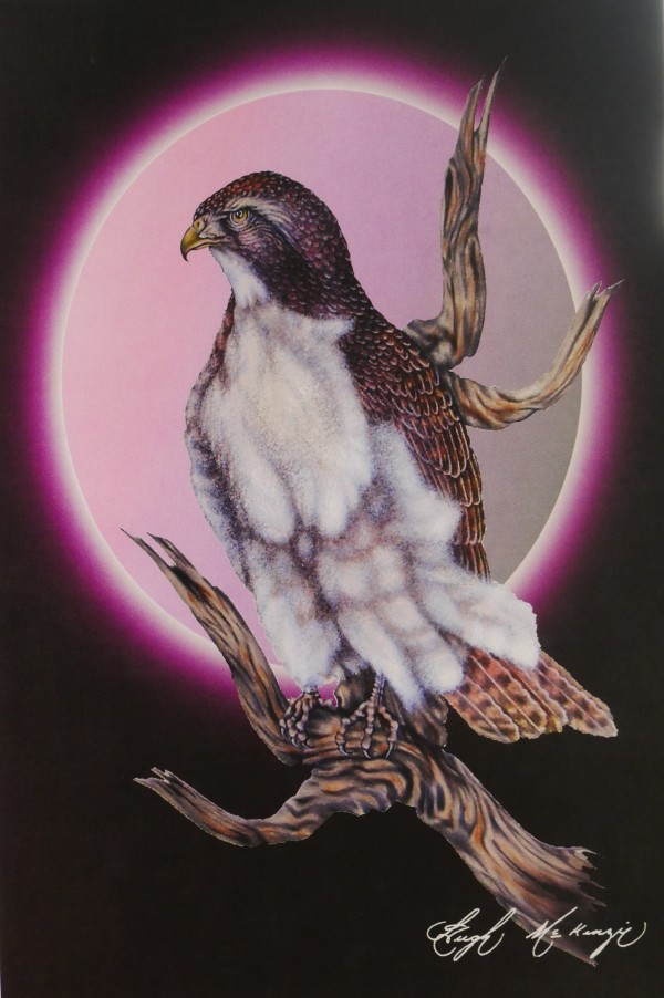 Redtail Hawk by Hugh McKenzie