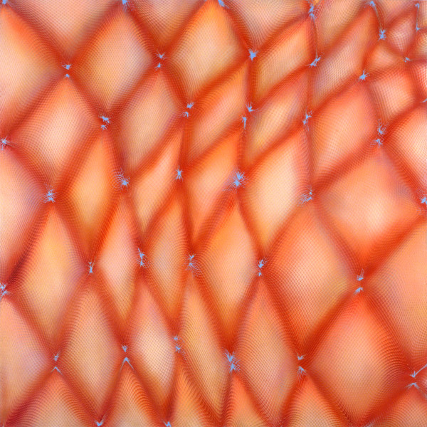 Body Bulge by Michelle Hinebrook