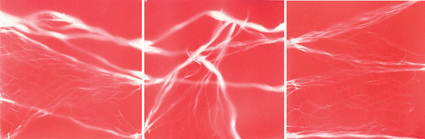Hot Lines by Michelle Hinebrook, Image 1.