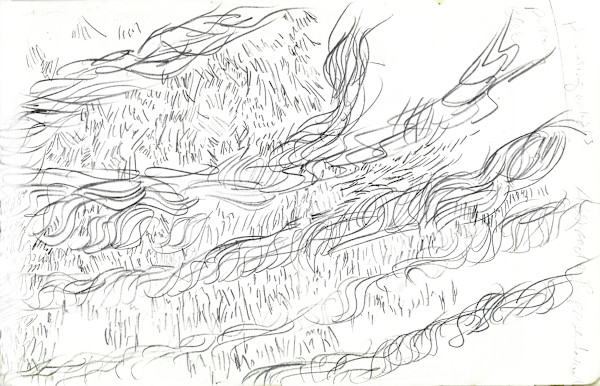 LawnGrasses_wnzkbh_14 by Michelle Hinebrook, Image 3.