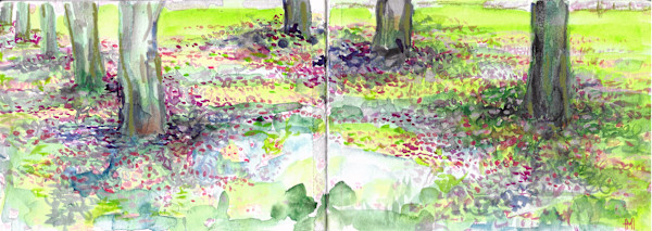 Memories of Cherry Blossoms by Michelle Hinebrook, Image 1.