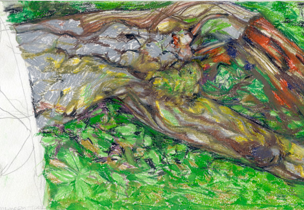 Michelle_Hinebrook_SBTreeTorso_h1eh0z_0 by Michelle Hinebrook, Image 18.