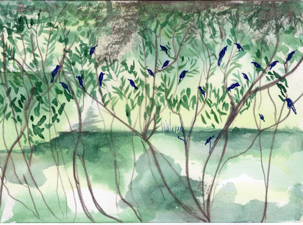 Michelle_Hinebrook_SB_MurderofCrows by Michelle Hinebrook, Image 1.