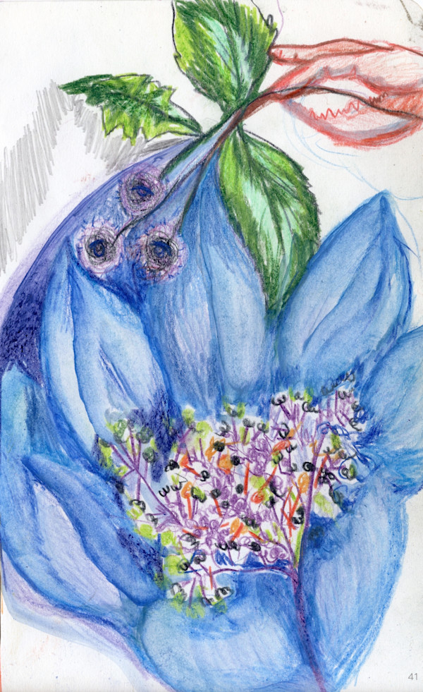 Michelle_Hinebrook_SB_BlueFlower_aioqfk_11 by Michelle Hinebrook, Image 5.