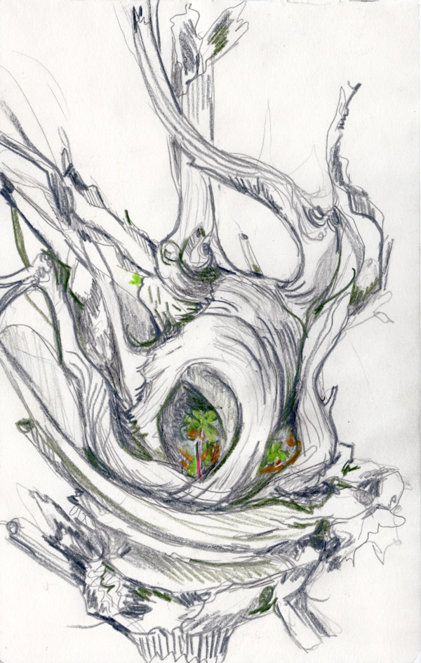 Michelle_Hinebrook_SB_DriftwoodFOrm_l2tprx_14 by Michelle Hinebrook, Image 4.