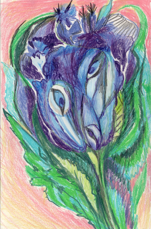Michelle_Hinebrook_SB_Iris_rvlfnj_8 by Michelle Hinebrook, Image 10.