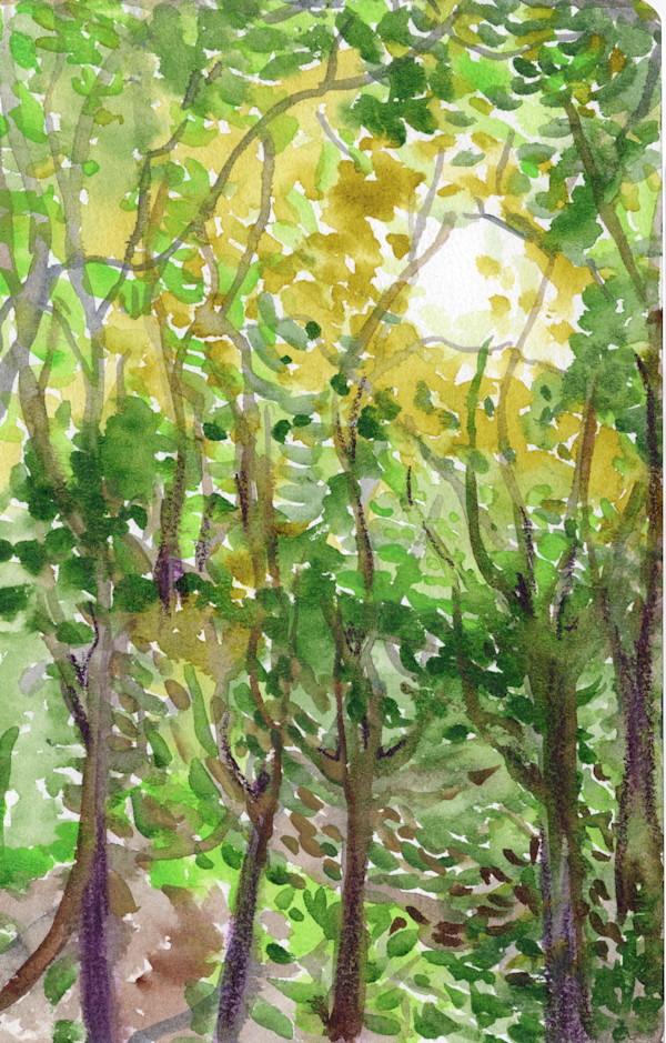 Michelle_Hinebrook_SB_LemonLeaves_uchqql_11 by Michelle Hinebrook, Image 7.