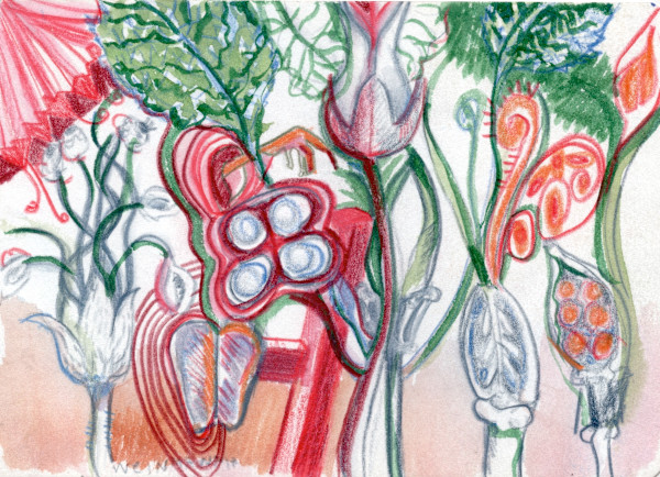 Michelle_Hinebrook_SB_SeedBloom by Michelle Hinebrook, Image 1.