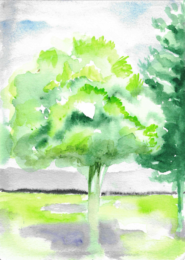 Michelle_Hinebrook_SB_SilentTree_jstxy0_2 by Michelle Hinebrook, Image 1.