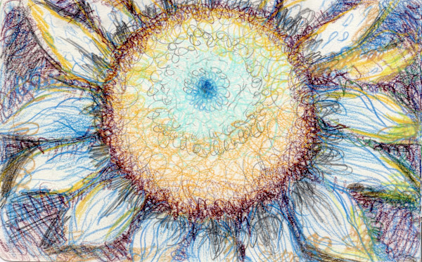 Michelle_Hinebrook_SB_Sunny_kdfle0_1 by Michelle Hinebrook, Image 17.