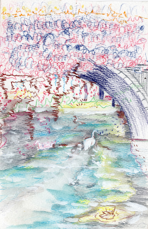 Michelle_Hinebrook_SB_Swans_asvlg9_5 by Michelle Hinebrook, Image 13.