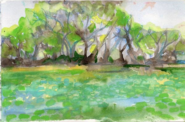 Michelle_Hinebrook_SB_TheGreatLawn_qeggwh_8 by Michelle Hinebrook, Image 10.