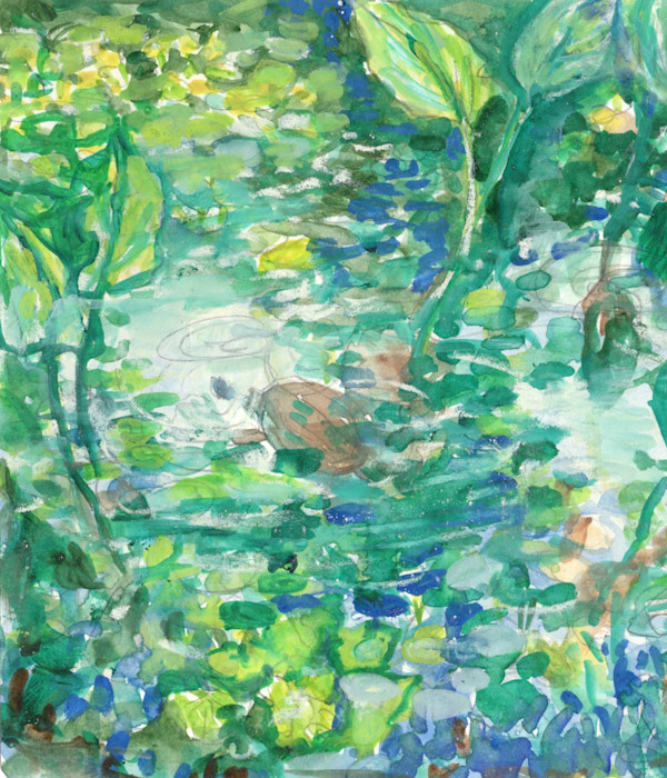 Michelle_Hinebrook_SB_TurtlePond_tulxj6_7 by Michelle Hinebrook, Image 11.