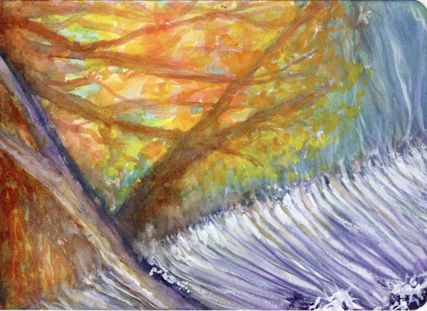 Michelle_Hinebrook_SB_UpstateWaterfall_i0zgux_3 by Michelle Hinebrook, Image 15.