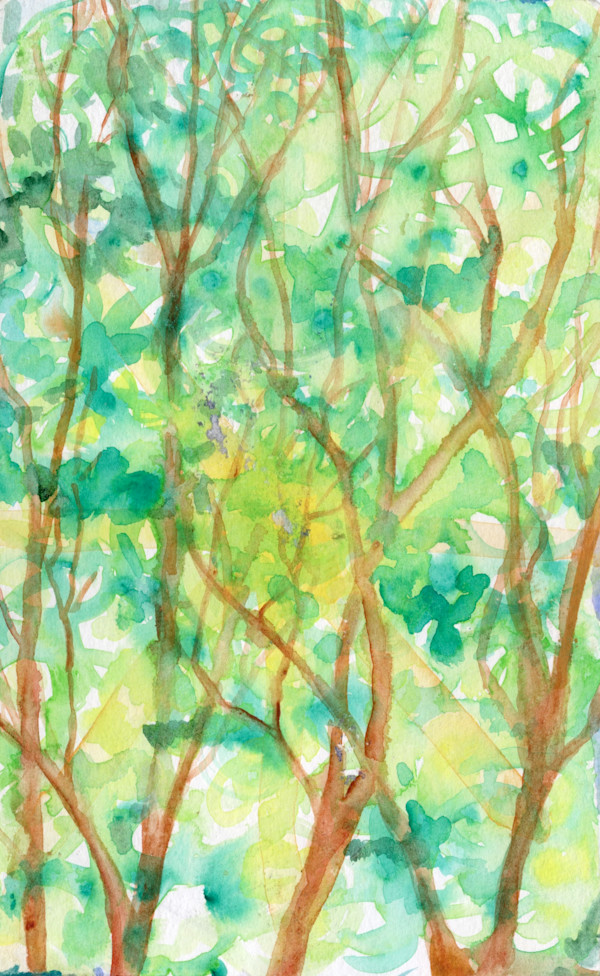 Michelle_Hinebrook_SB_YGSpring_zskbut_7 by Michelle Hinebrook, Image 1.