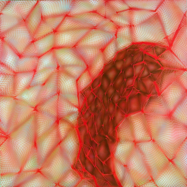 Split by Michelle Hinebrook