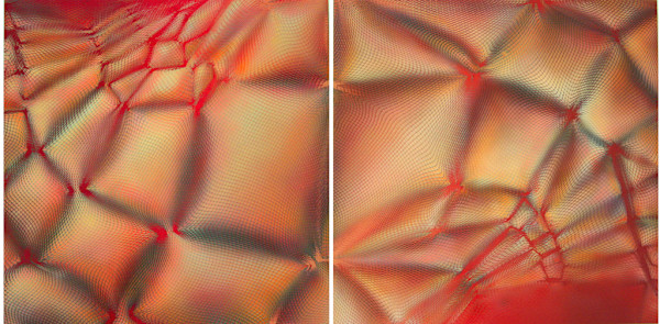 Twist by Michelle Hinebrook