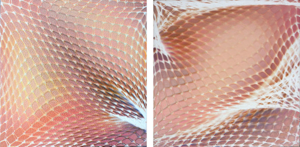 Pink Pucker by Michelle Hinebrook