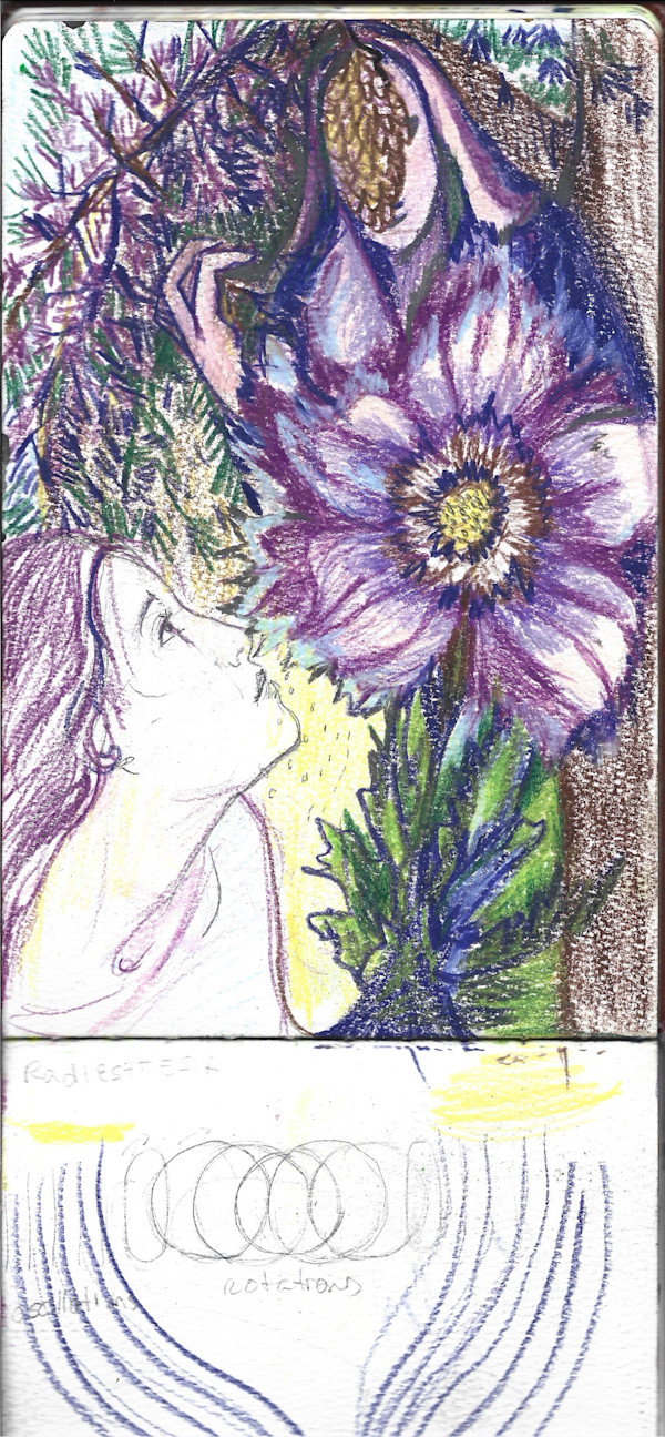 Sketchbook Violet Fay by Michelle Hinebrook, Image 1.