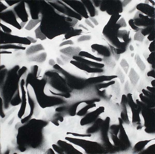 Splat by Michelle Hinebrook